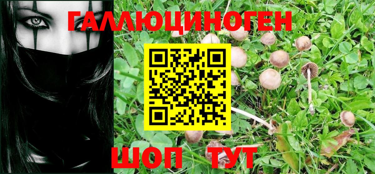что такое   Краснокаменск  Галлюциногенные грибы MAGIC MUSHROOMS 