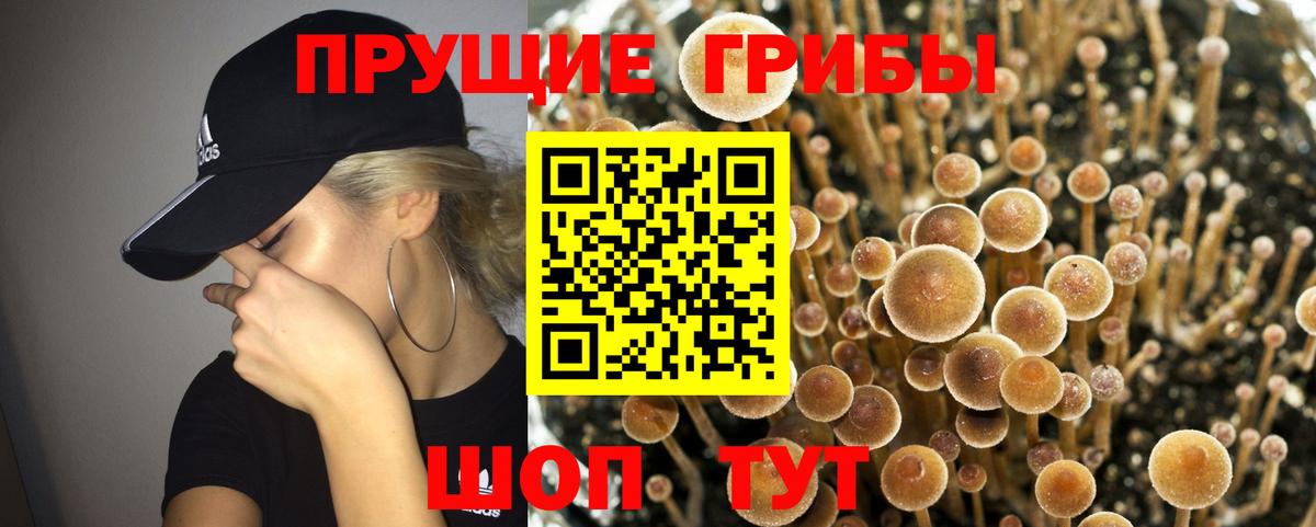 Псилоцибиновые грибы Magic Shrooms  Псилоцибиновые грибы мухоморы  Вход с VPN  Краснокаменск 